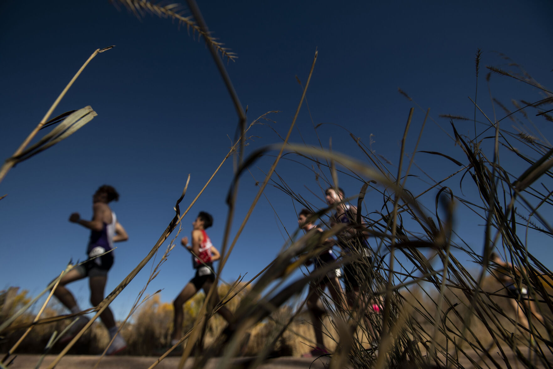 103121-sw-hsxc 28.jpg